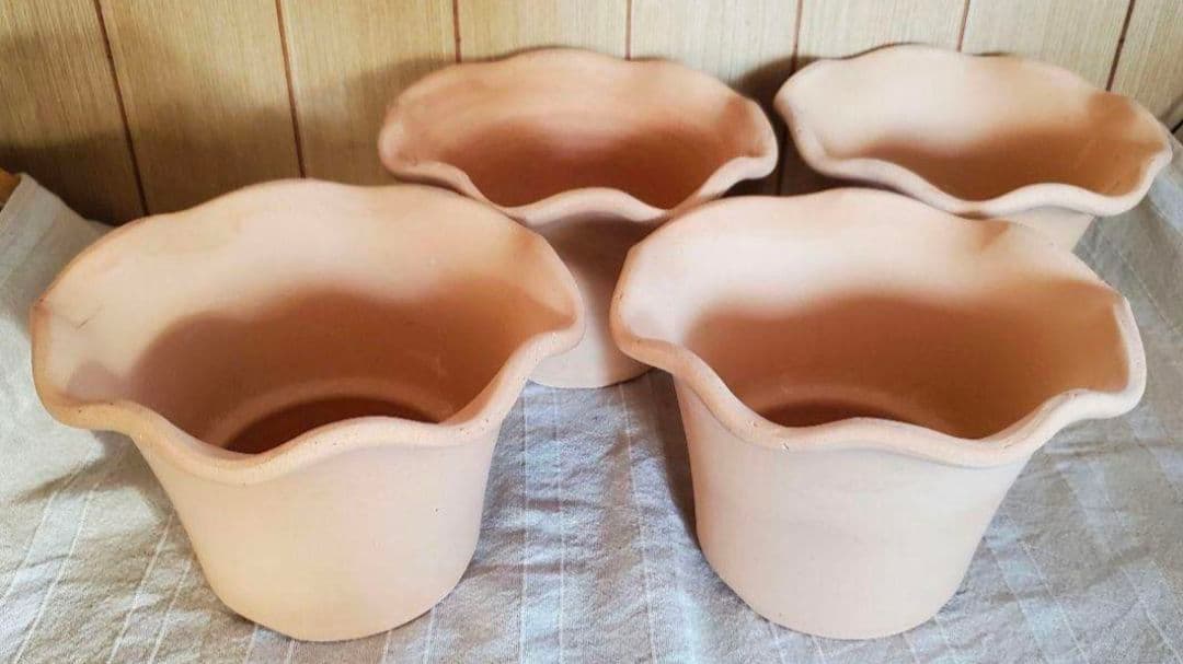 norinoriページ三河焼フリルテラしゅう窯白焼6号10ヶお買い得セット