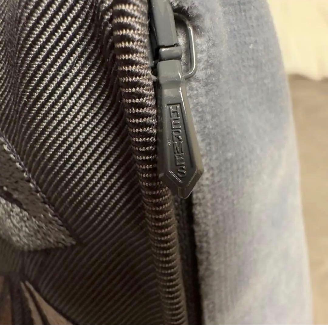 HERMES エルメス 新品 刺繍 クッション 2点セット《1つタグ付き》