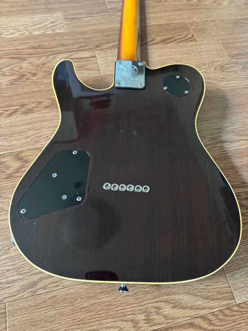 Valley Arts m Series Deluxe TLタイプ - メルカリ