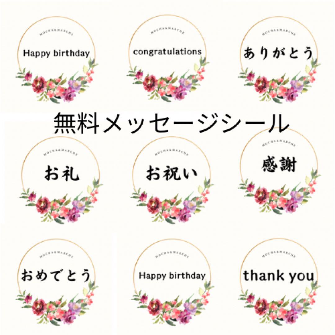 【光触媒】至高の華やぎ 胡蝶蘭と薔薇の特大ロングスワッグ（68cm） 春の彩り