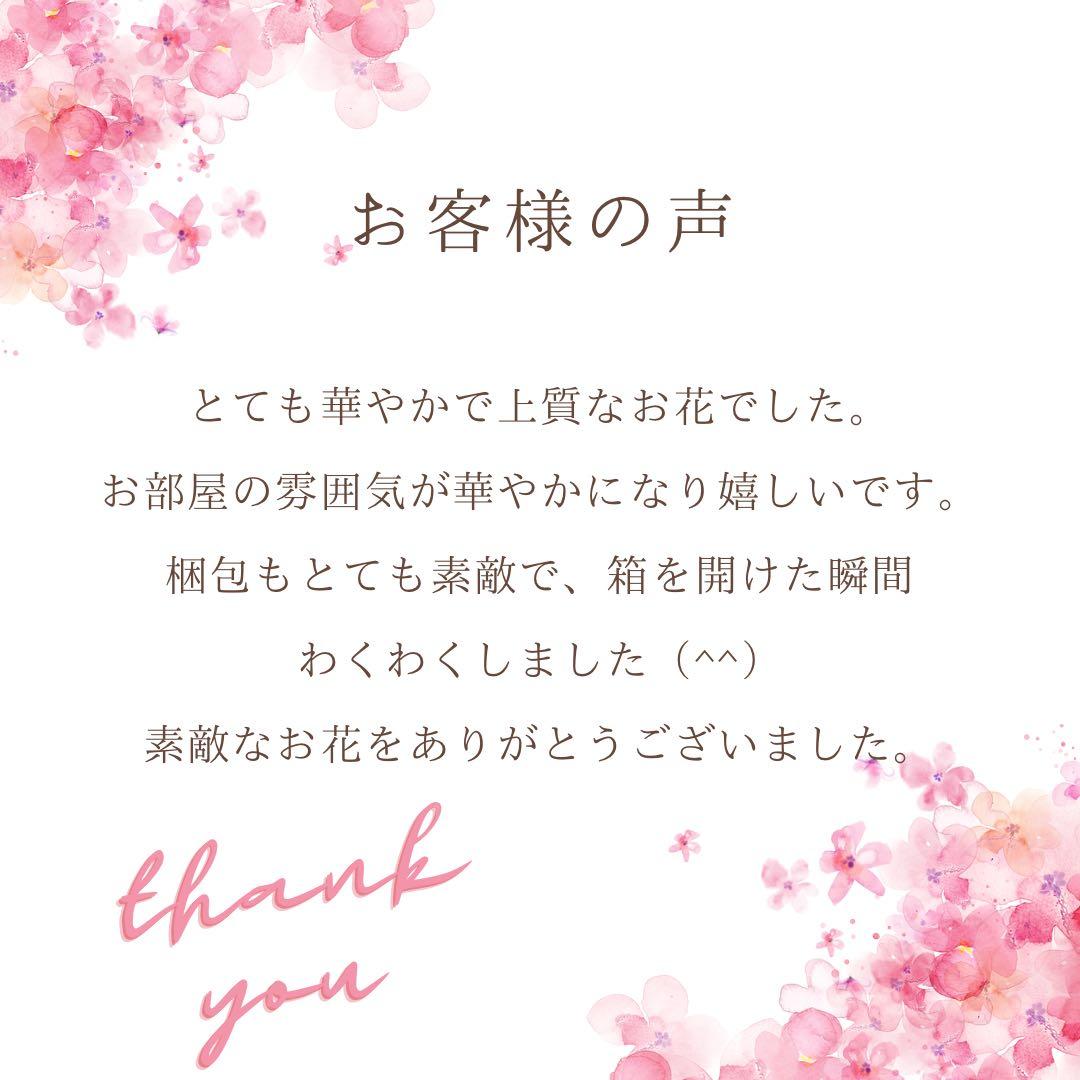 【光触媒】至高の華やぎ 胡蝶蘭と薔薇の特大ロングスワッグ（68cm） 春の彩り
