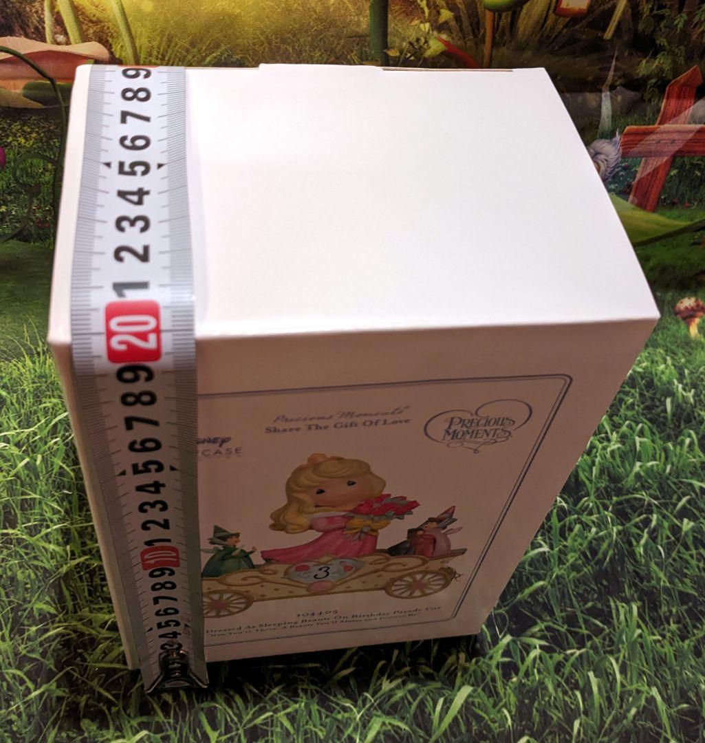 ディズニー　ショーケース　プレシャスモーメンツ　バースデーパレード　オーロラ姫