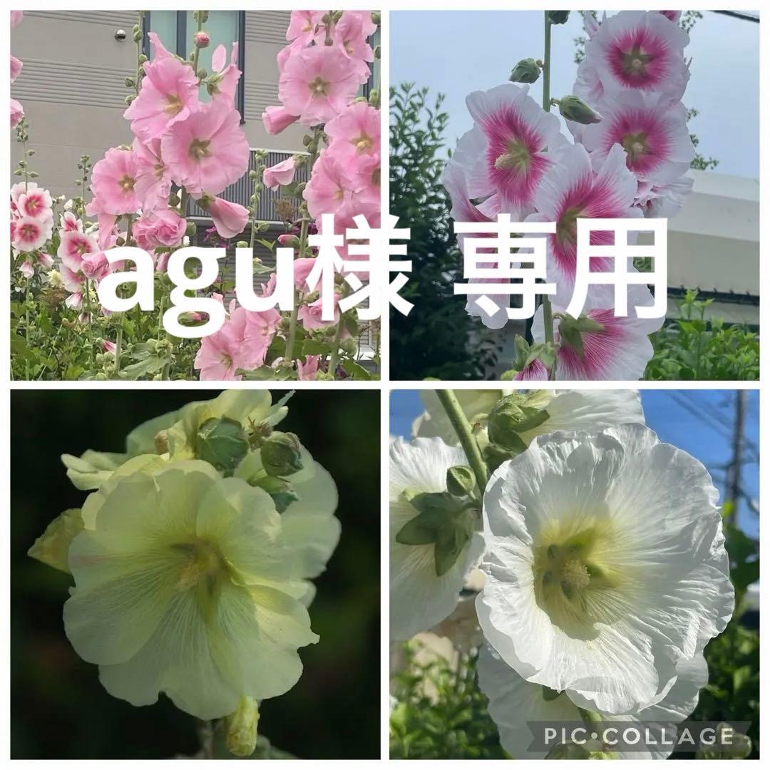 agu様 リクエスト 2点 まとめ商品 - メルカリ