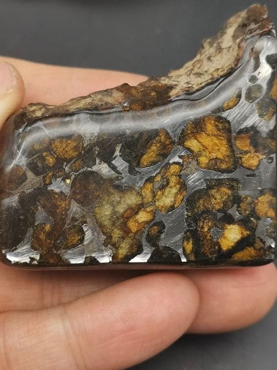 セリコ隕石 パラサイト隕石 ケニア 標本 121.5g no.P-K49901