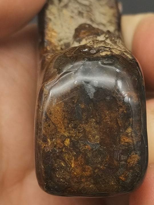 セリコ隕石 パラサイト隕石 ケニア 標本 121.5g no.P-K49901