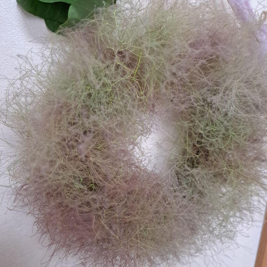 ふわふわスモークツリーのリース