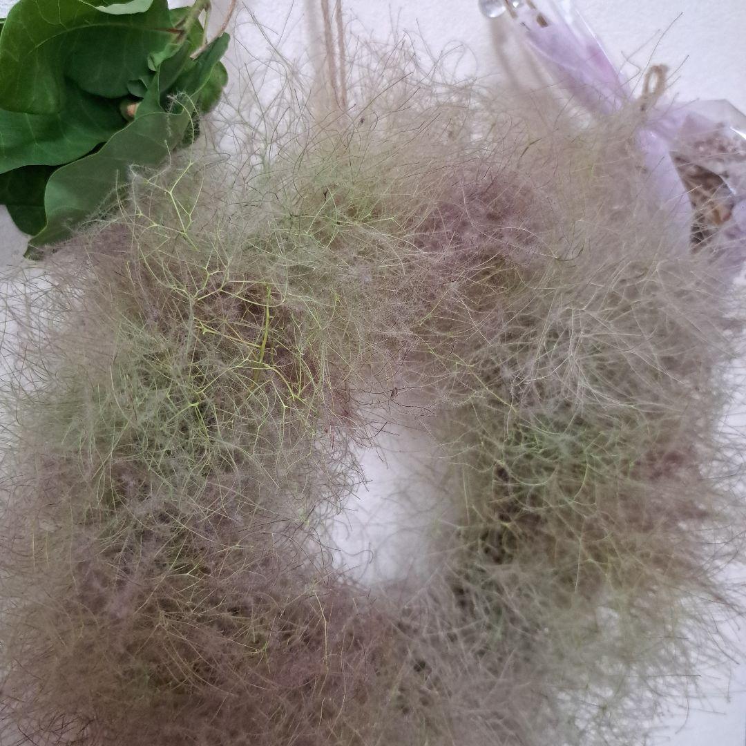 ふわふわスモークツリーのリース