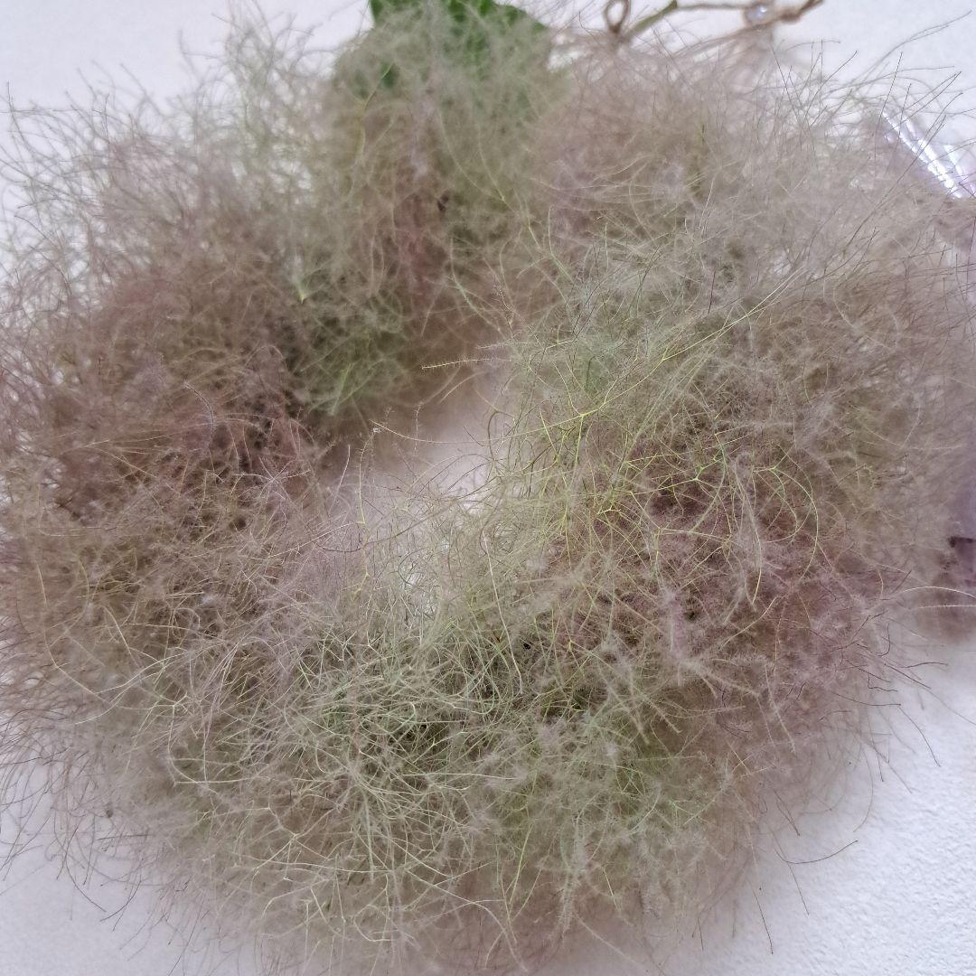 ふわふわスモークツリーのリース