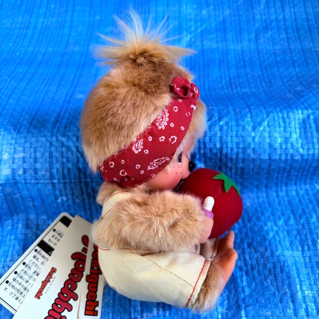 レア⬛︎希少⬛︎ベジタブル⬛︎モンチッチ⬛︎もんちっち⬛︎Sサイズ⬛︎トマト⬛︎バンダナ⬛︎金髪