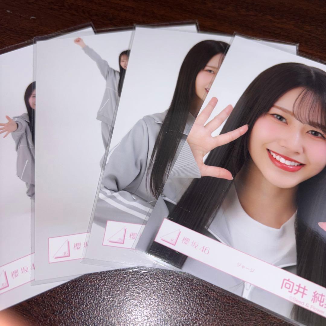 向井純葉 櫻坂46 ジャージ 生写真 4種コンプ - メルカリ
