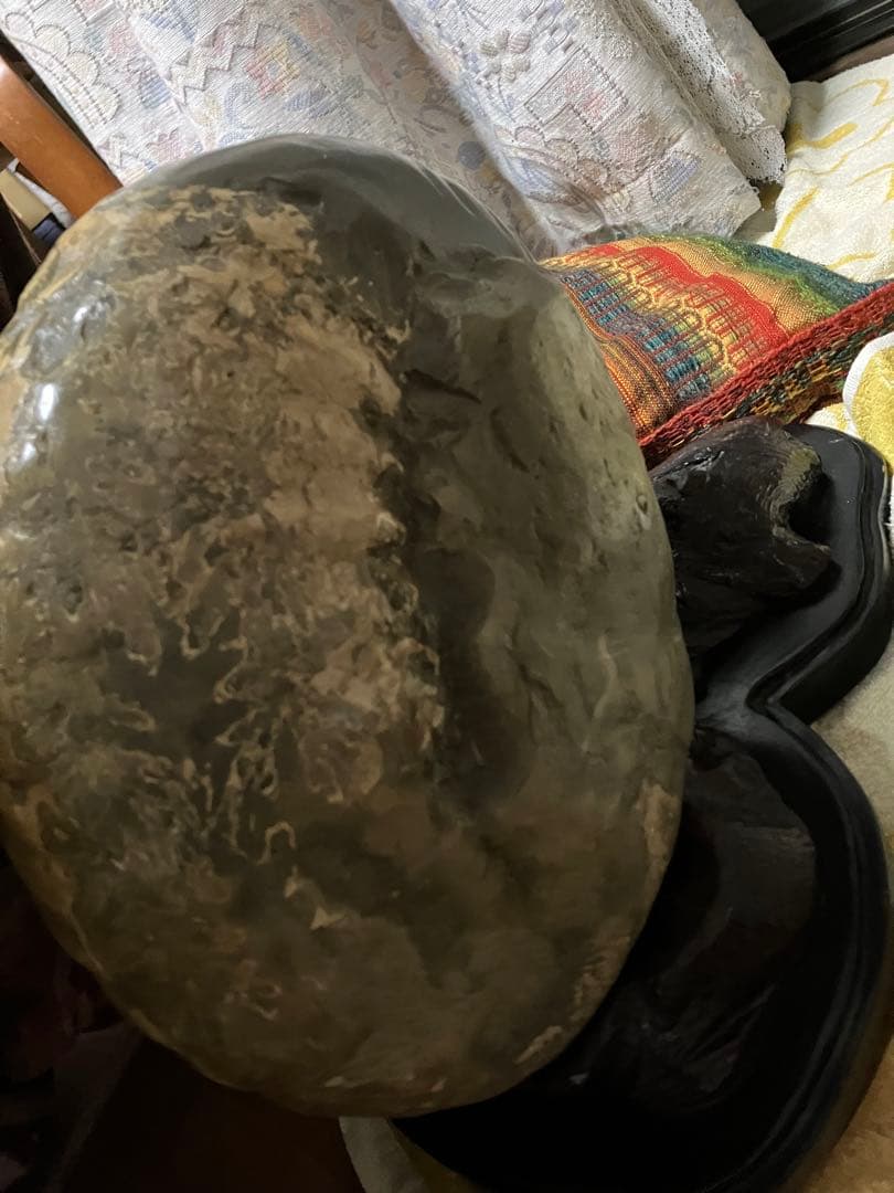 希少 十勝産 アンモナイトの化石