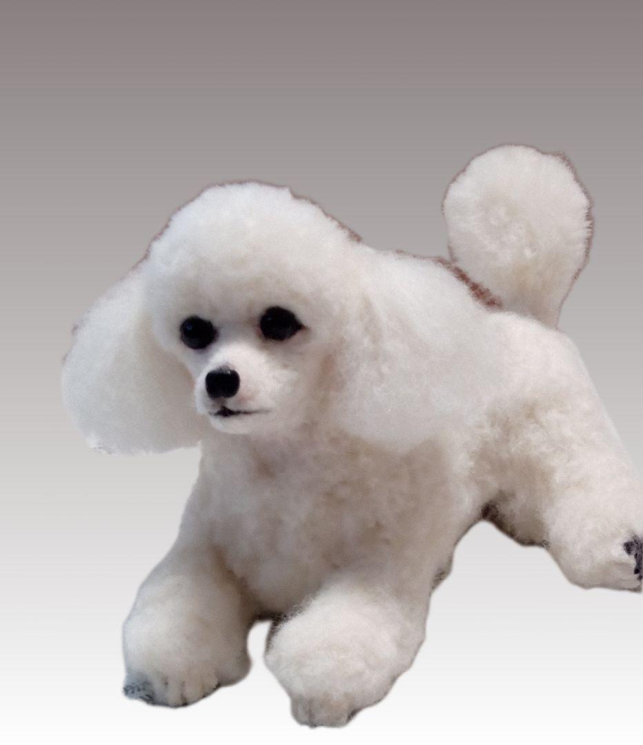 羊毛フェルトオーダー専門・わんちゃん・ぬいぐるみ