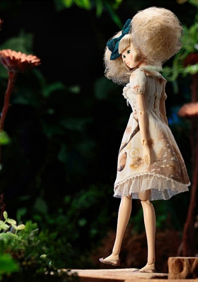 激レア❗PW-momoko ae 〈こぐま座〉女王猫と鹿の姫