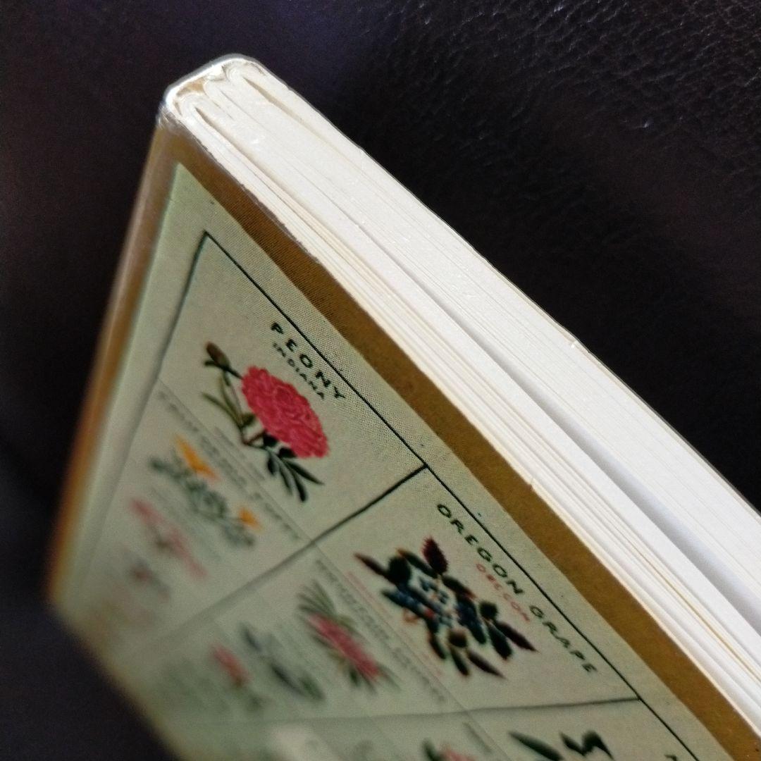 フレメ 図案集 洋書 クロスステッチ