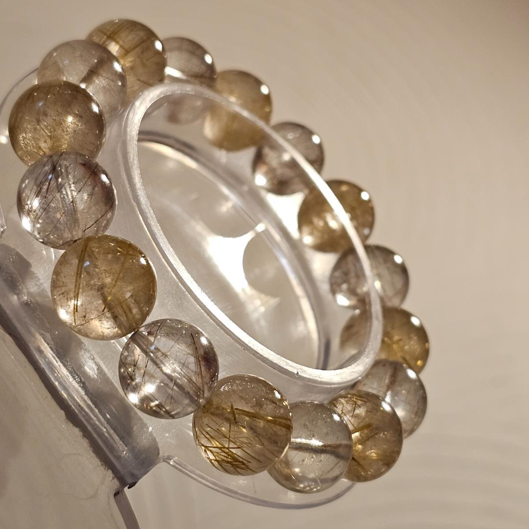 【ポリパ】サイズ約16.5cm ゴールドルチル シルバールチル