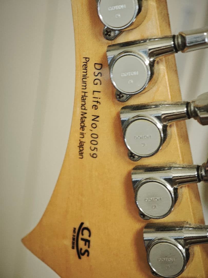 G-Life Guitars DSG Life-ALD中古品