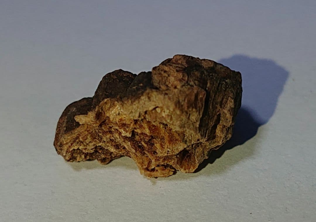 聞香・柬蒲寨産 根瘤黄花梨