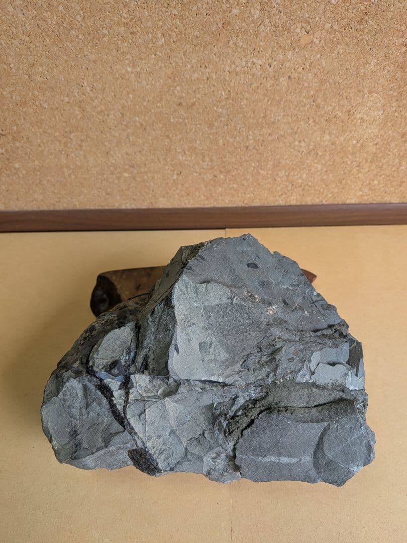 アンモナイト化石 13.0㎝(298)