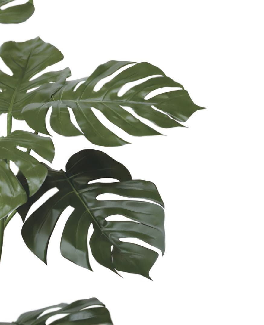 光触媒 人工観葉植物 ウォールグリーン フェイクグリーン モンステラ1.01.0