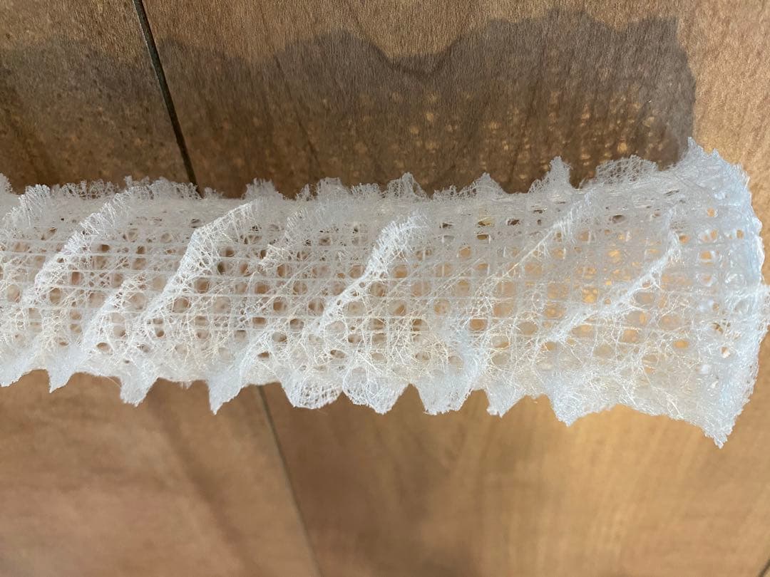 カイロウドウケツ　標本