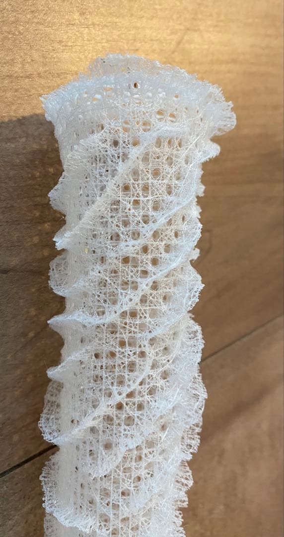 カイロウドウケツ　標本