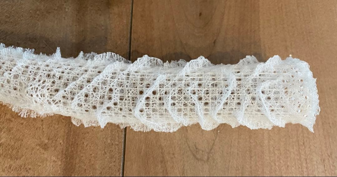 カイロウドウケツ　標本