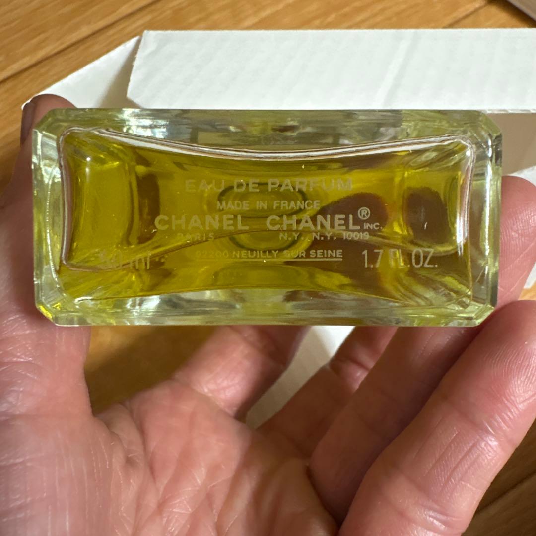CHANEL N°19 Poudré 50ml Eau de Parfum - メルカリ