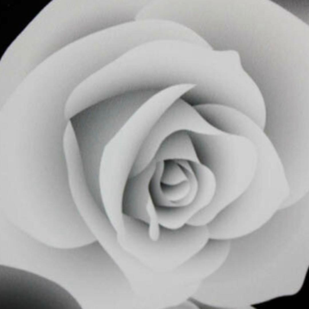 【美品】Ａ1サイズ 版画 ポスター 絵画 壁掛け インテリア アート