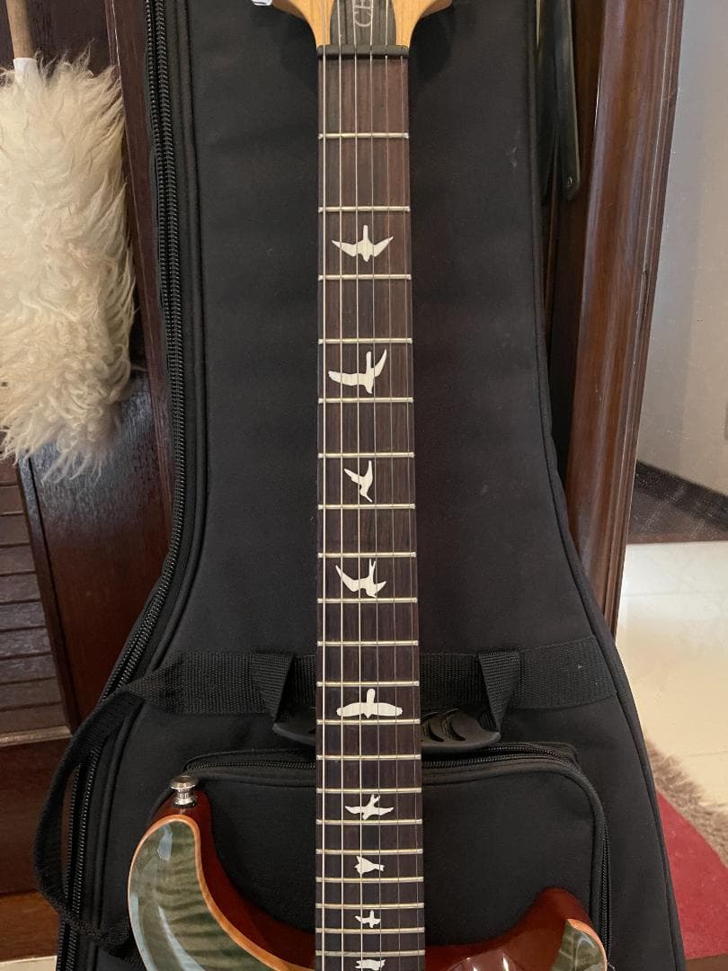 PRS 2016 CE 24 Tampa Green - メルカリ