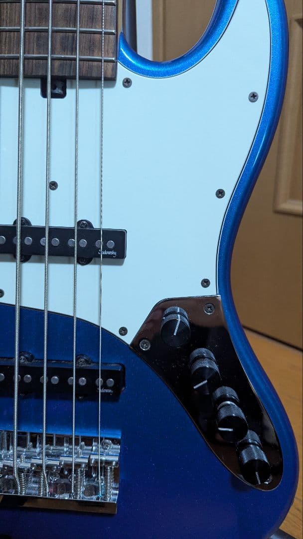 Sadowsky ME21 5弦 アンプラグ2、ケース付き