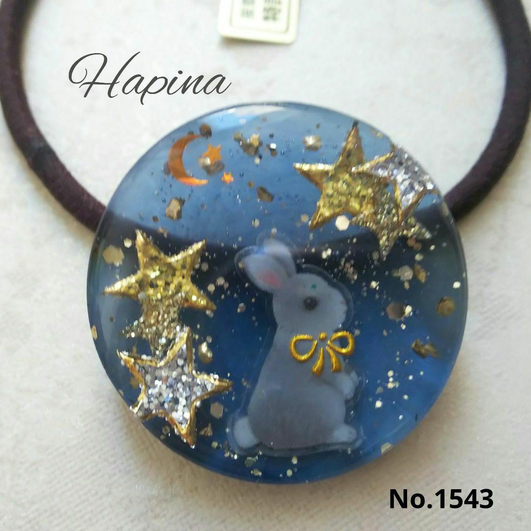 NO.433❤うさぎ 美少女❤レジンヘアゴム ブローチ