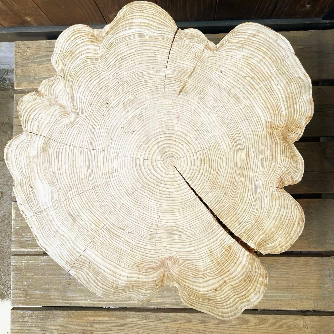 檜　スツール　特大　一点物　インテリア　ディスプレイ　ローテーブル　丸太　切り株