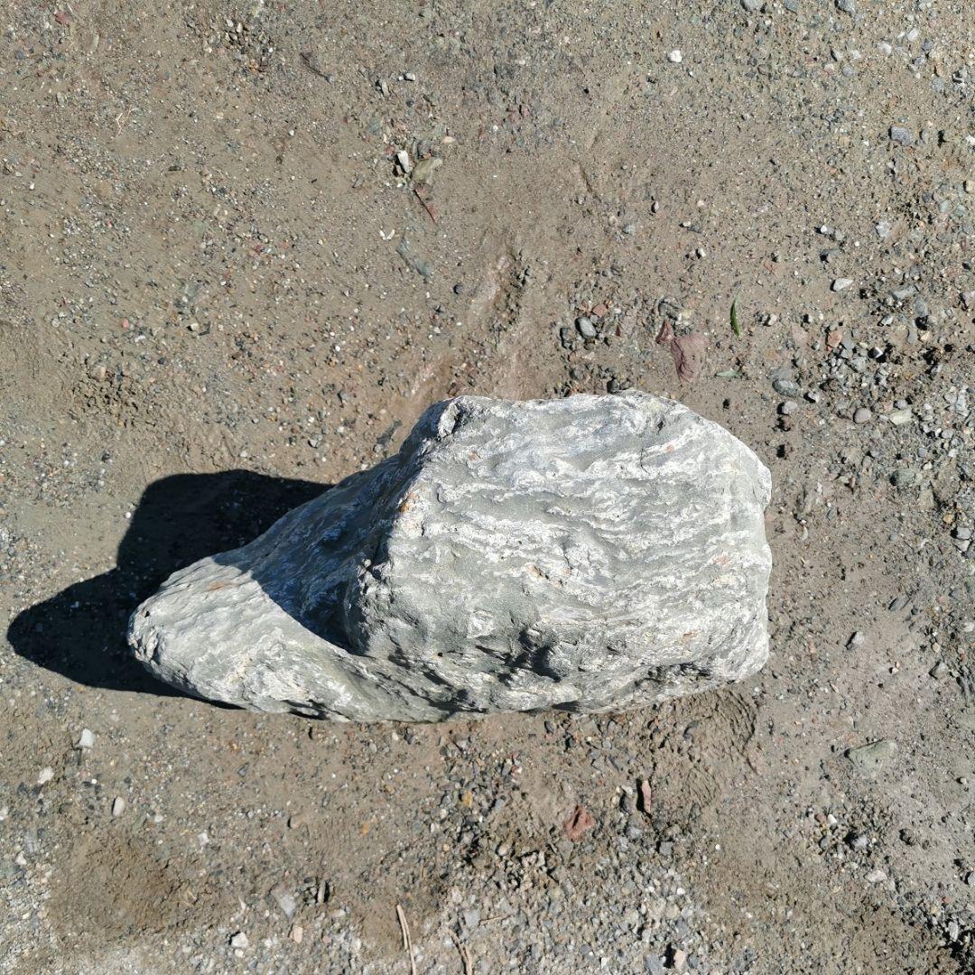 三波石 58キロ 庭石 石 鑑賞石 庭 坪庭 ガーデニング 置物 オブジェ