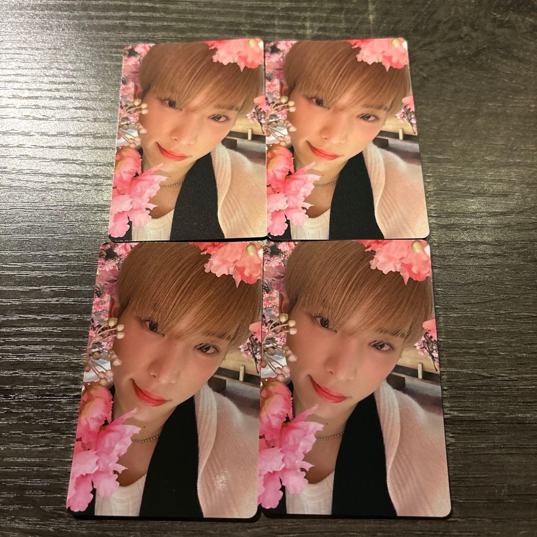 &TEAM 雪あかり トレカ はるあ ハルア HARUA 4枚 - メルカリ