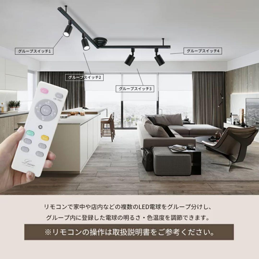 【10灯セット】調光調色　ダクトレール用スポットライト ホワイト　リモコン1個付