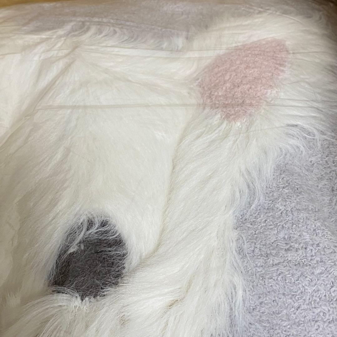 新品　未開封　ジェラートピケ　【Sleep】ウエスティ ジャガードマルチカバー