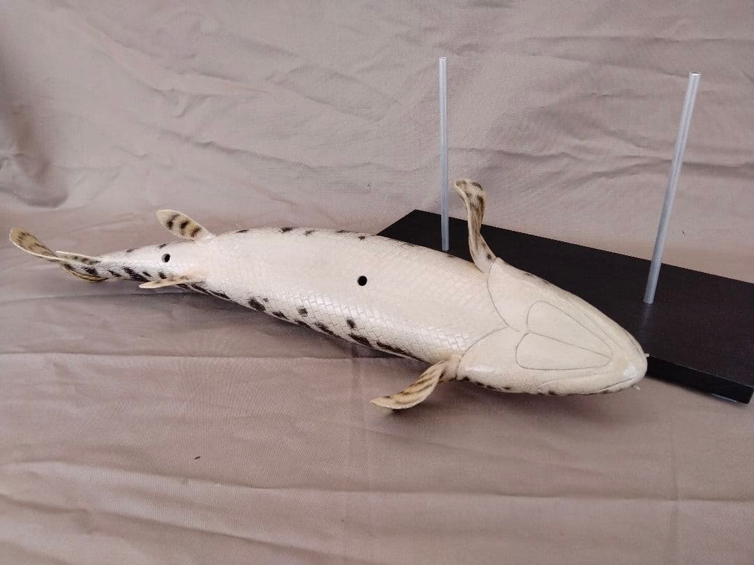 ハンドメイド　50cmポリプテルス　フィギュア　レプリカ　熱帯魚　古代魚