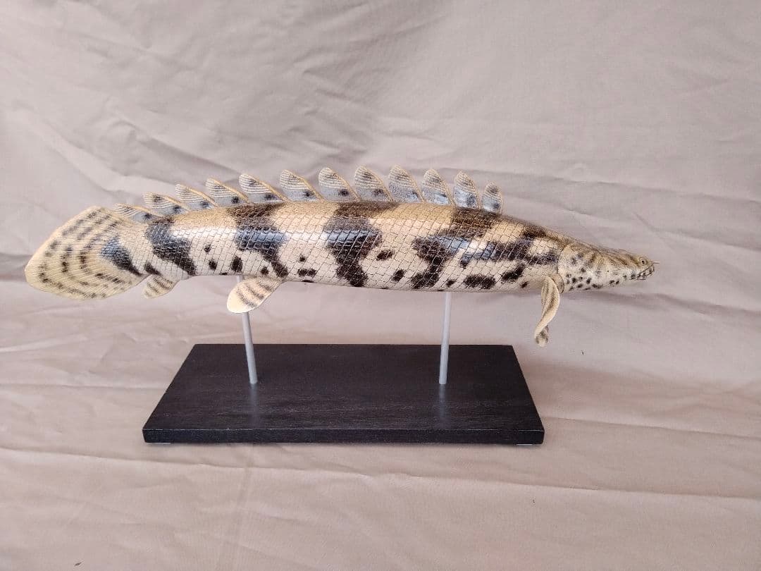 ハンドメイド　50cmポリプテルス　フィギュア　レプリカ　熱帯魚　古代魚