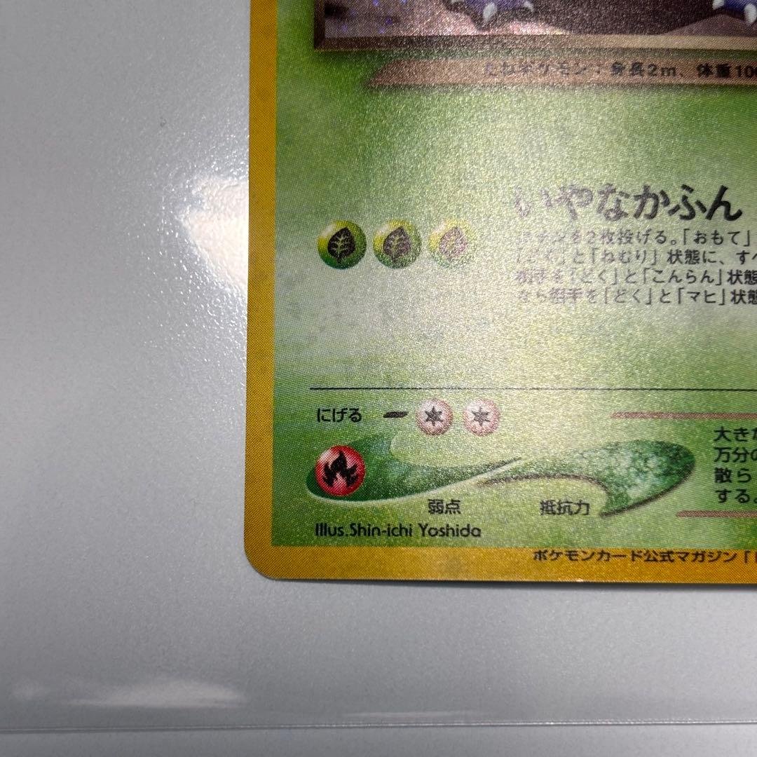 美品クラス】旧裏わるいフシギバナ LV.37GBプロモ No.003 - メルカリ