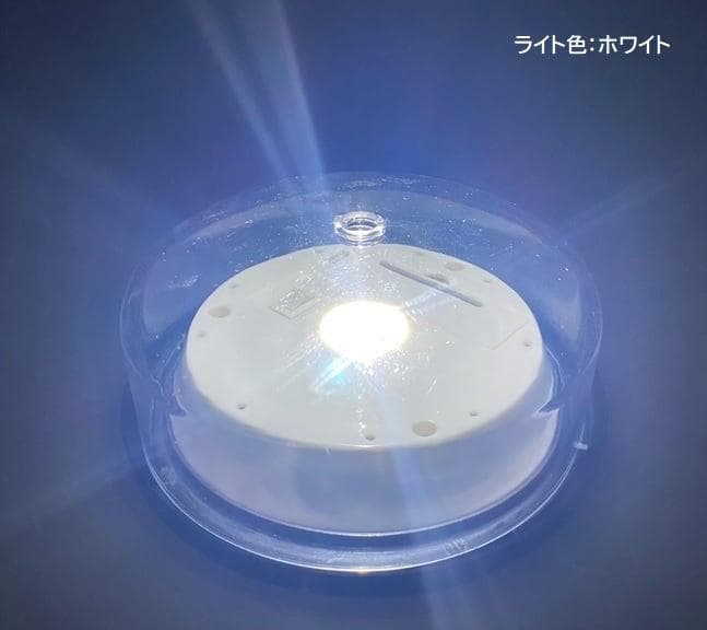 新品 ガーデンライト ソーラーライト ソーラーフラワー CURVE