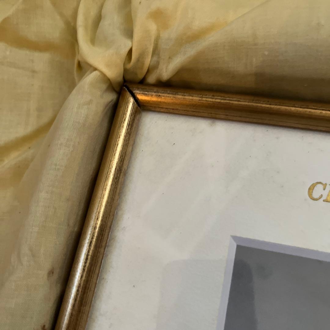 富永　直樹　バラと少女の証書