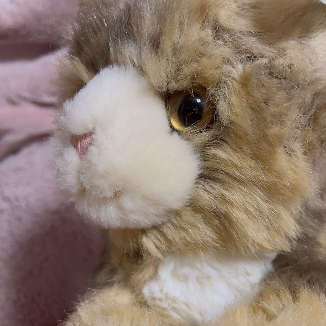 シュタイフ Steiff ねこのルーシー Lucy Katze 猫 18cm - メルカリ