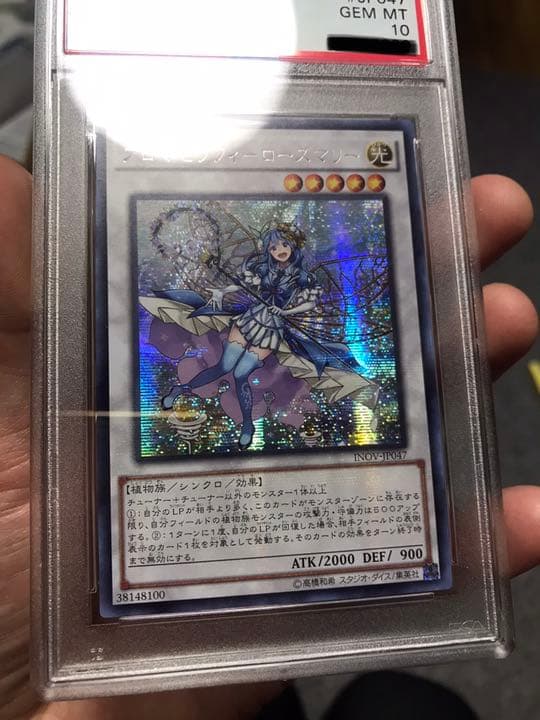 遊戯王アロナセラフィーローズマリーアジアシークレットPSA10