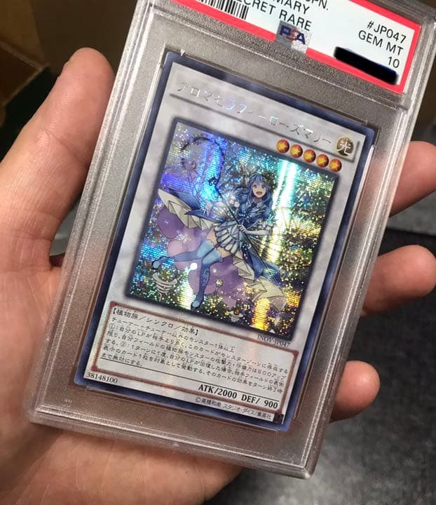 遊戯王アロナセラフィーローズマリーアジアシークレットPSA10