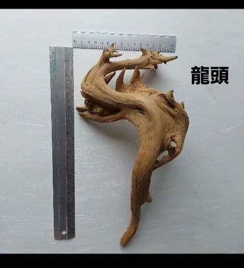 変木(龍神木)天然木根、希少、珍品、一点物❗