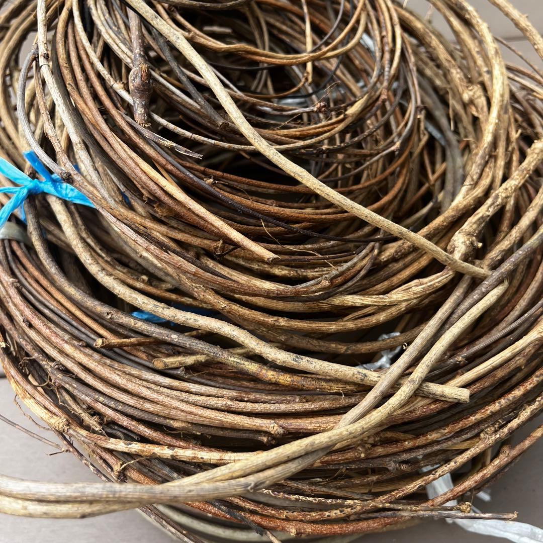 バゴバゴ 西洋あけび 素材 ツル 蔓 ハンドメイド 天然素材　カゴバッグ リース