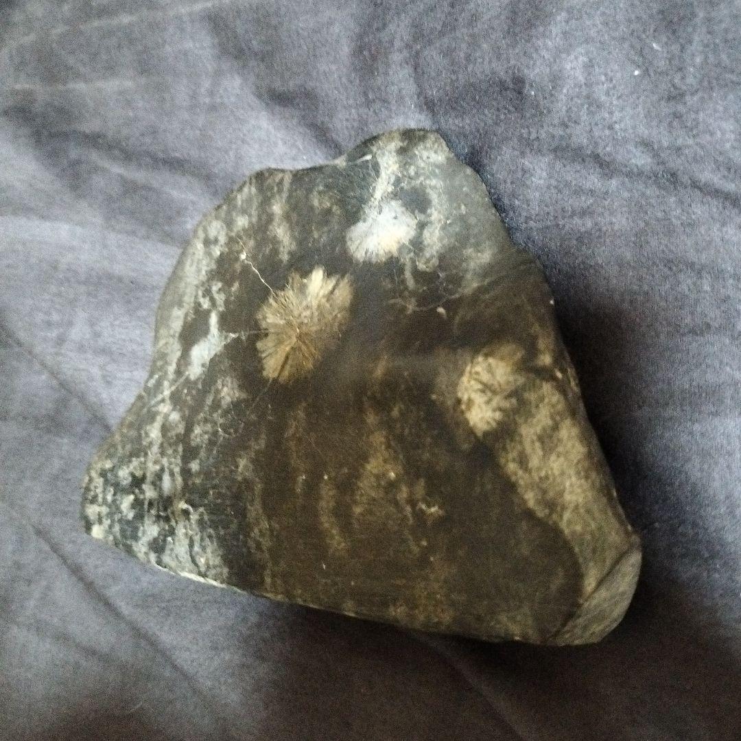 菊花石 化石模様の黒色石置物 - メルカリ