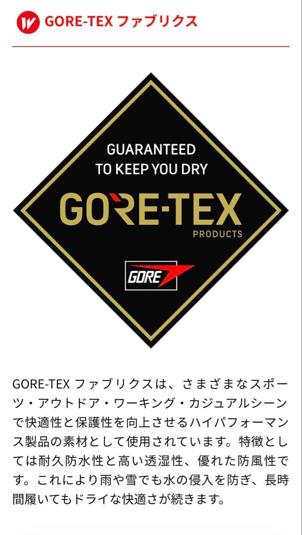 asics CP602 G-TX ファイアリーレッド 安全靴　27cm値引き可