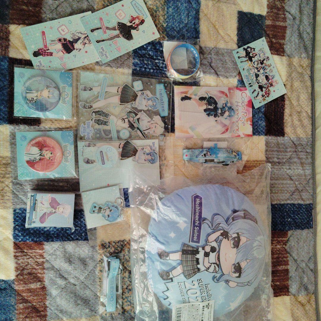 ホロライブ引退品、EXPOグッツとEXPO後夜祭グッツまとめ売り - メルカリ