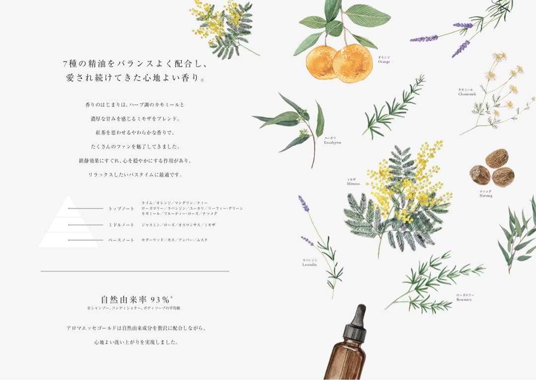 POLAアロマエッセゴールド ボディーソープ 業務用 10L